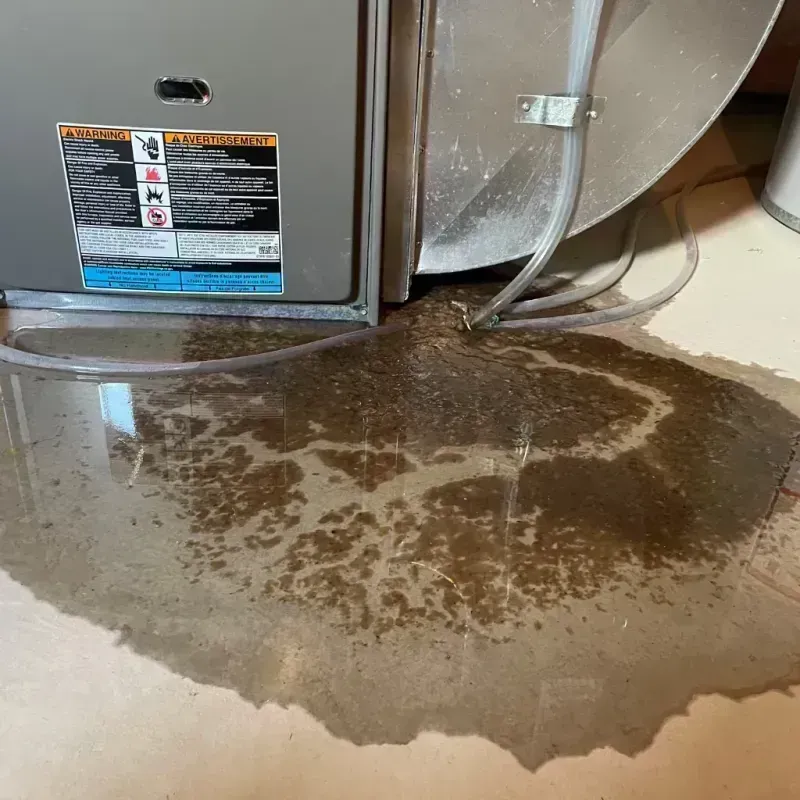 Appliance Leak Cleanup in Fulton County, IL